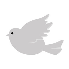 dove wedding decoration icon vector illustration design