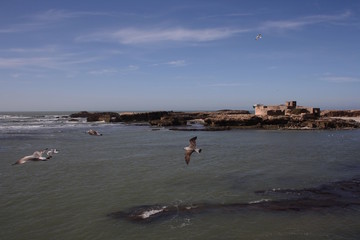 Marokko, Ruine vor dem Hafen von Essaouira
