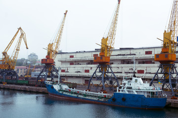 Fototapeta premium Cargo cranes, Odessa sea port