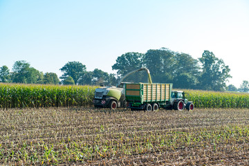 Traktor Abtransport gehäckselter Mais