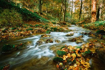 Autumn flowing stream