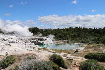 Geyser in Roturua
