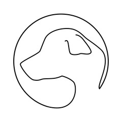 cute dog mascot icon vector illustration design