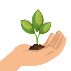 ecology plant symbol icon vector illustration design