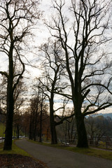 Aussicht im Winter in die Berge mit Schnee