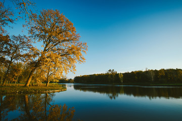Autumn lake in park