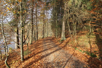 Herbstweg am Rothauer See bei Tittling