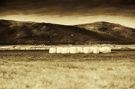 Norway packed haycock background