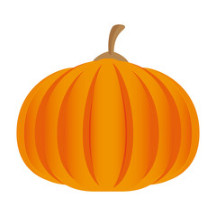 fresh vegetable isolated icon vector illustration design