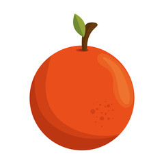 fresh fruit isolated icon vector illustration design