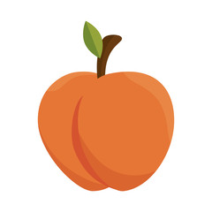 fresh fruit isolated icon vector illustration design