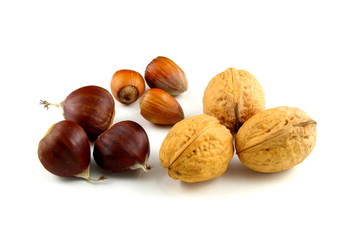 composition of sweet chestnuts, hazelnuts and walnuts