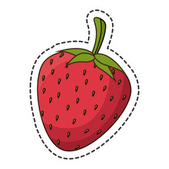 fresh fruit cut line isolated icon vector illustration design