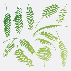Tropical palm leaves jungle vector background isolated