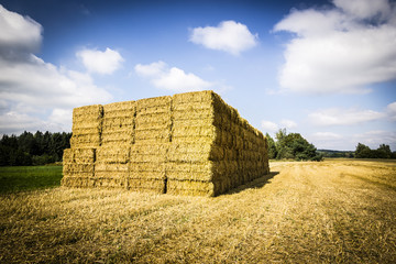 Stack - Haystack with Field and Blue Sky