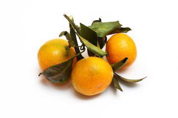 three tangerines with leaves on a white background