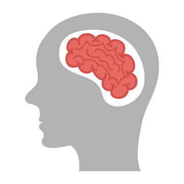 brain storm human organ icon vector illustration design