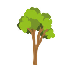 tree plant isolated icon vector illustration design