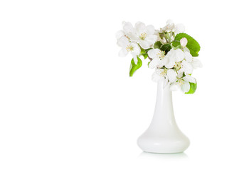 Vase with beautiful spring flowers, interior decor