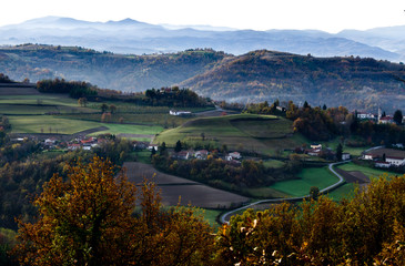 typical of the Piedmontese Langhe landscape