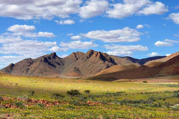 Namib desert landscape, Namibia - obrazy, fototapety, plakaty