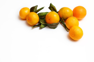 tangerines with leaves on a white background background with copy space