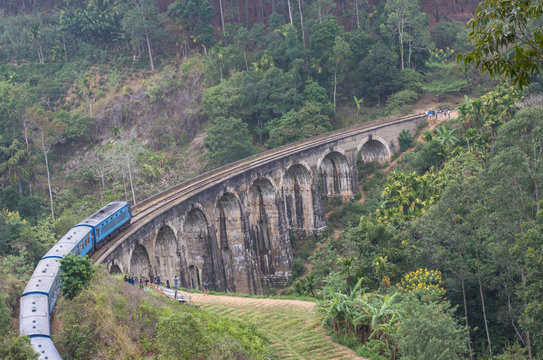 Train on the Nine Arch Bridge in Sri Lanka