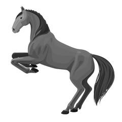 Fototapeta na wymiar Vector illustration of rearing horse. Isolated monochrome detailed picture of beautiful animal on white background.