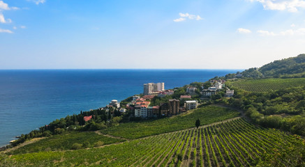 Fototapeta na wymiar holiday village and vineyard by the sea