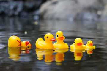 Ella Sri Lanka October