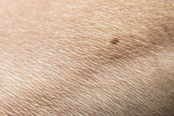 Fototapeta premium Human skin