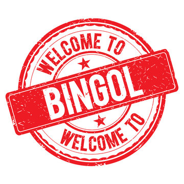 Welcome to BINGOL Stamp.