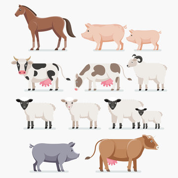 Animal farm set. The horse pig cow goat and sheep. Vector illust