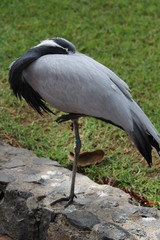 Beautiful unique landscape of Canary Island Tenerife