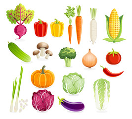 Set of vegetables. Vector illustrations.