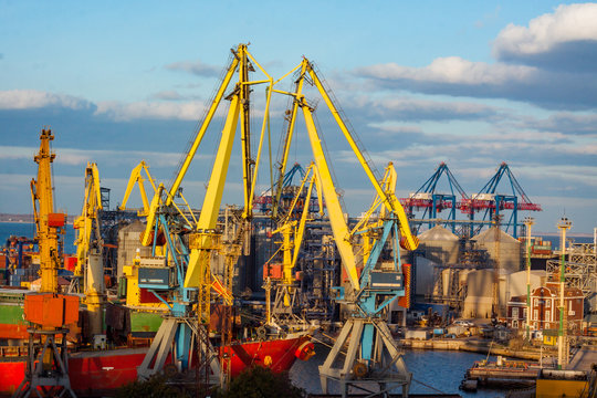 cranes in industrial sea port 