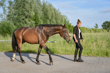 Reitsport - Reiterin zieht Pferd   © Countrypixel