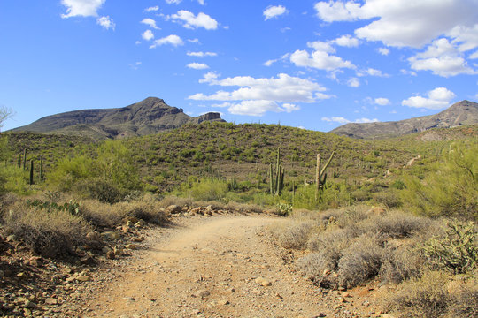 Beautiful Hiking, Mountain Biking, And Horseback Riding Trail In The Mountains Of Cave Creek, Arizona USA