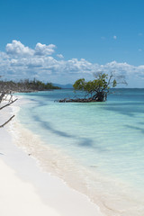 Kuba, Cayo Levisa ; Die  " einsame Insel " an der Atlantikküste.