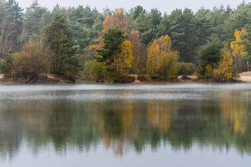 Die Heide an der Aller