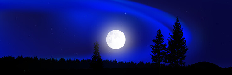 Fototapeta na wymiar Blue northern lights. Moonlight. Coniferous forest. Website template.
