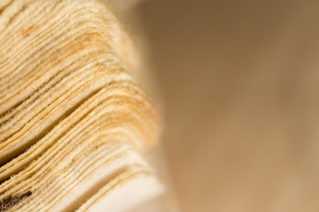 page of the old book as background. macro