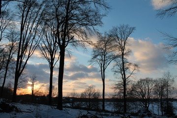 Winter Sky 4
