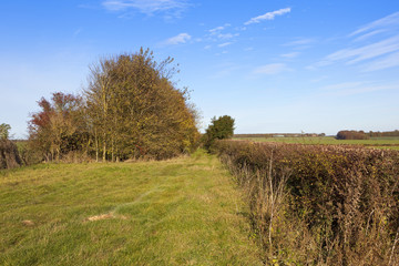 scenic bridleway in autumn