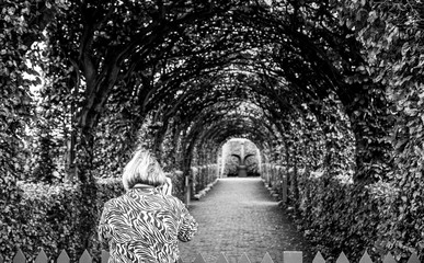 Naklejka premium Black-white photo of old woman which photographs park. Muiderslot castle ancient park ensemble in Muiden, Noord-Holland, The Netherlands.