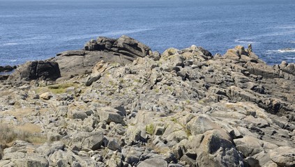 Fototapeta na wymiar Rocky coast in Galicia, Spain