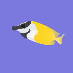 Fish fox (vulpinus, siganus)