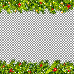 Christmas tree branches on transparent background vector