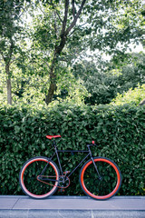 Fototapeta premium Red bycicle parked near bushes in park