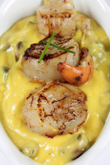 saint-jacques 15/11/2016